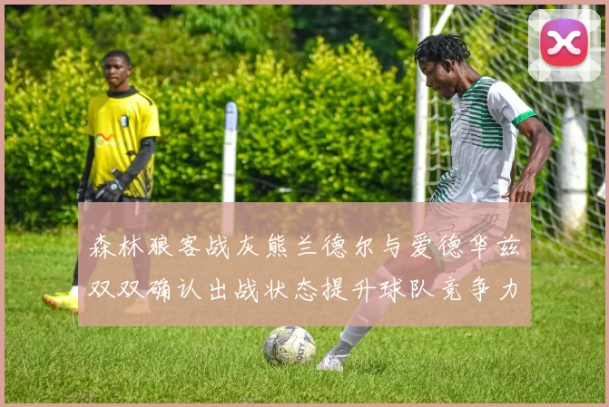 森林狼客战灰熊兰德尔与爱德华兹双双确认出战状态提升球队竞争力