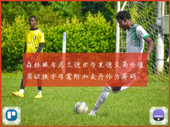 森林狼考虑兰德尔与里德交易价值若欲换字母需附加麦丹作为筹码