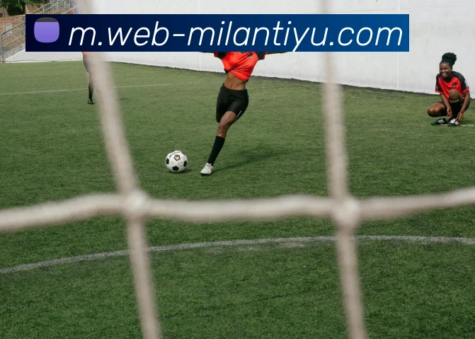 米兰体育平台生态图