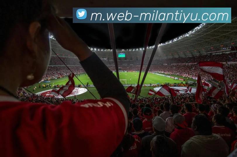 米兰体育APP 封面图